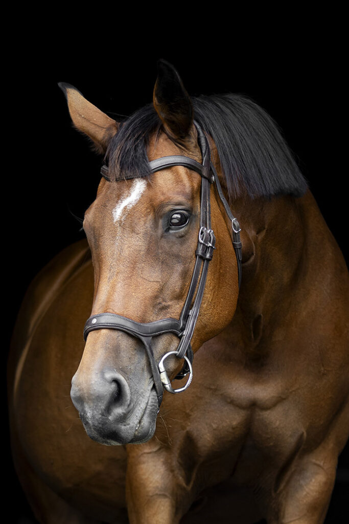 Traleen Park Bellero